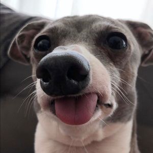 Meet your Posher, Oliver